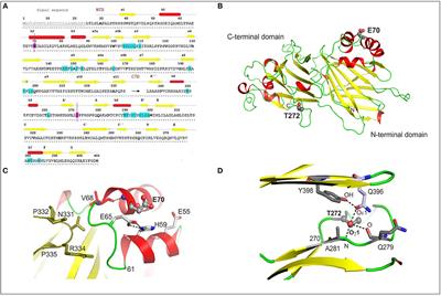 Residue Mutations in Murine Herpesvirus 68 Immunomodulatory Protein M3 Reveal Specific Modulation of Chemokine Binding